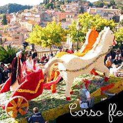 Corso Fleuri De Bormes Les Mimosas