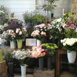 Côté Nature Artisan Fleuriste