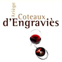 Domaine Des Coteaux D'engraviès