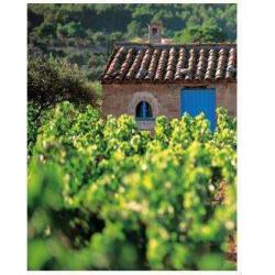 Côtés Vins