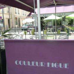 Couleur Figue