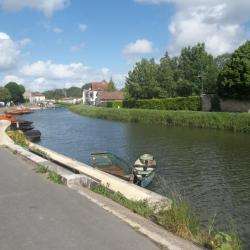 Coulon