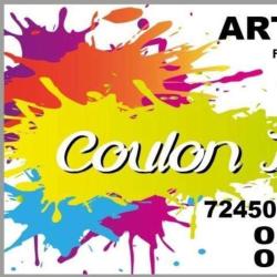 Coulon David