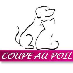 Coupe Au Poil
