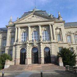 Cour  D'appel