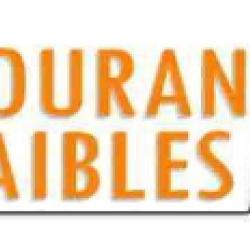 Courants Faibles 31