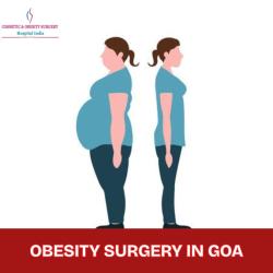 Coût De La Chirurgie Bariatrique à Goa