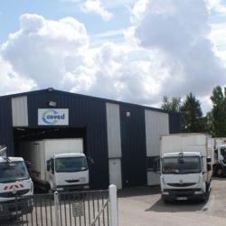 Coved Bernay