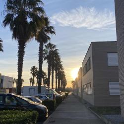 Coworking Development