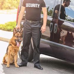 C.q.f.s. Securite