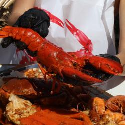 Crab's
