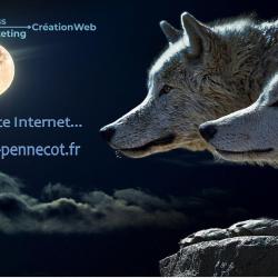 Créationweb Wordpress Marketing