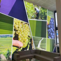 Crédit Agricole - Agence Epernay Vallé