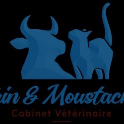 Crin Et Moustache