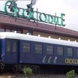 Crocodile