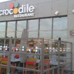 Crocodile