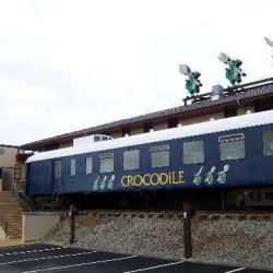 Crocodile