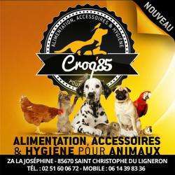 Croq'85