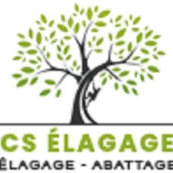 Cs élagage Dans Le 38 : Le Bon Choix