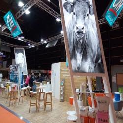 Chauvet Alain Cth