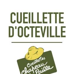 Cueillette Chapeau De Paille - Octeville