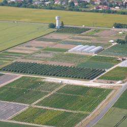 Cueillette D'aulnay Sur Marne