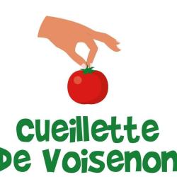 Cueillette De Voisenon