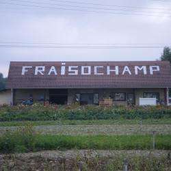 Cueillette  Fraisochamp