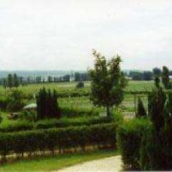 Cueillette De La Croix Verte