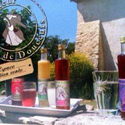 Cueilleur De Douceurs