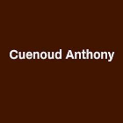 Cuenoud Anthony