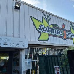 Culture Indoor