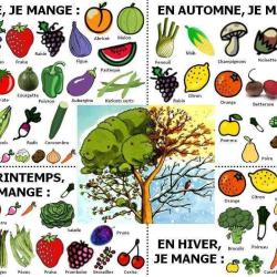 Culture Légumes