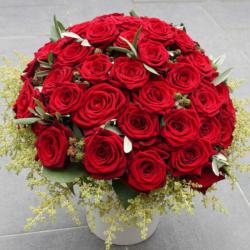 Curiosites Florales