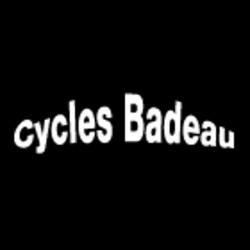 Cycles
