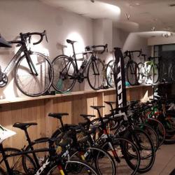 Cycles Jungblut