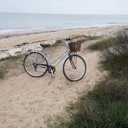Cyclo Surf