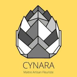Cynara