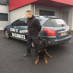Cyno 12 Securite
