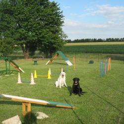 Cynophile Doux Guide En Education Canine