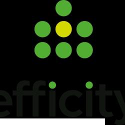 Cyrille Naudin Conseiller Immobilier Efficity