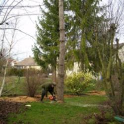 D - Payen - Espaces - Verts