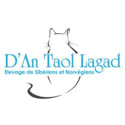 D'an Taol Lagad