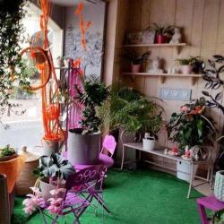 D'un Jardin A L'autre