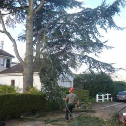 D'une Branche à L'autre