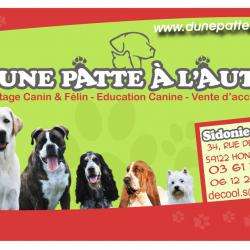 D'une Patte à L'autre