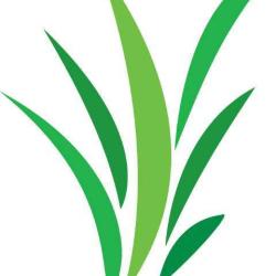D'co Verte