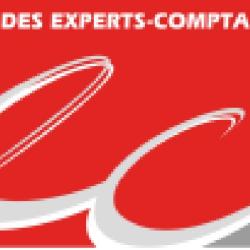 Dabriou Regis Audit & Expertise