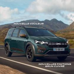 Dacia Montélimar Sud - Groupe Synethis