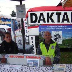 Daktari